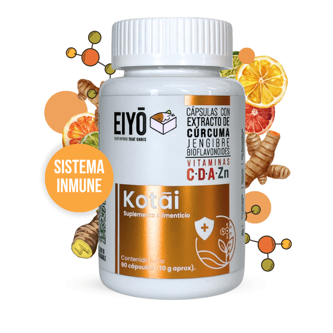 Kotai Bro Veganas con cúrcuma, jengibre, Bioflavonoides y Vitaminas (C,D,A) (sistema inmune y antioxidante) - Eiyo
